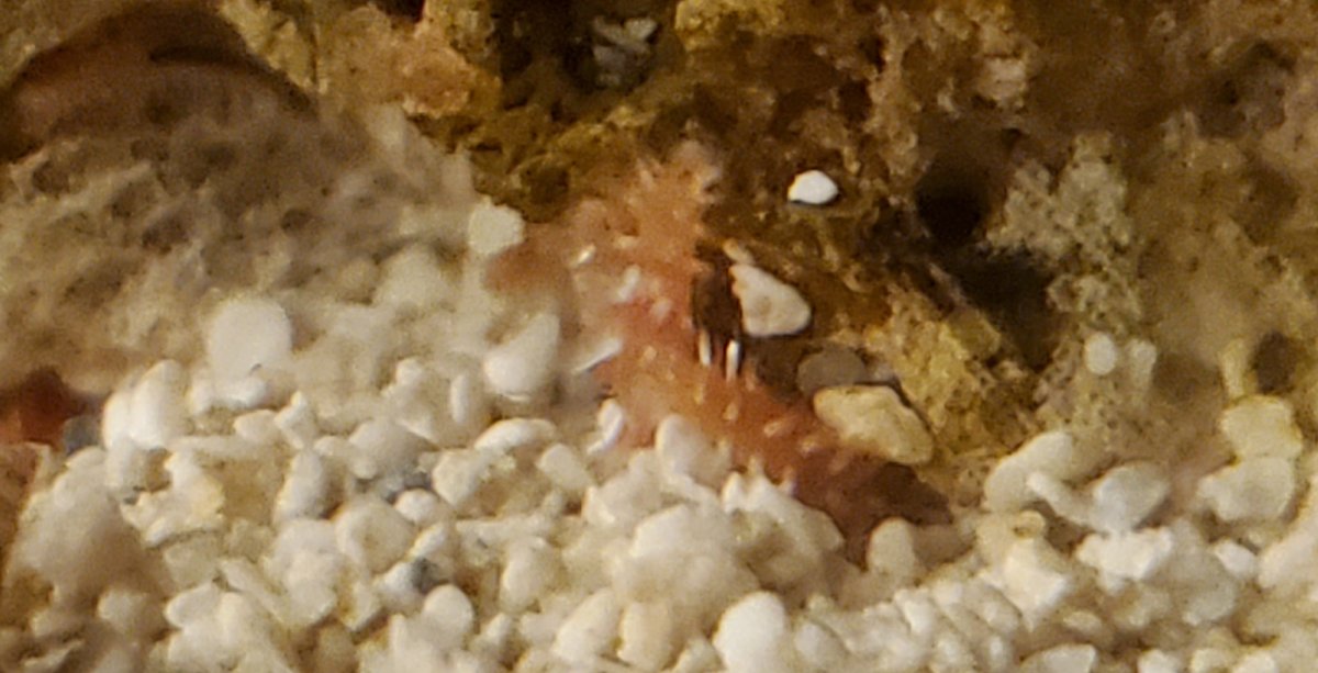 20191213_050346.jpg