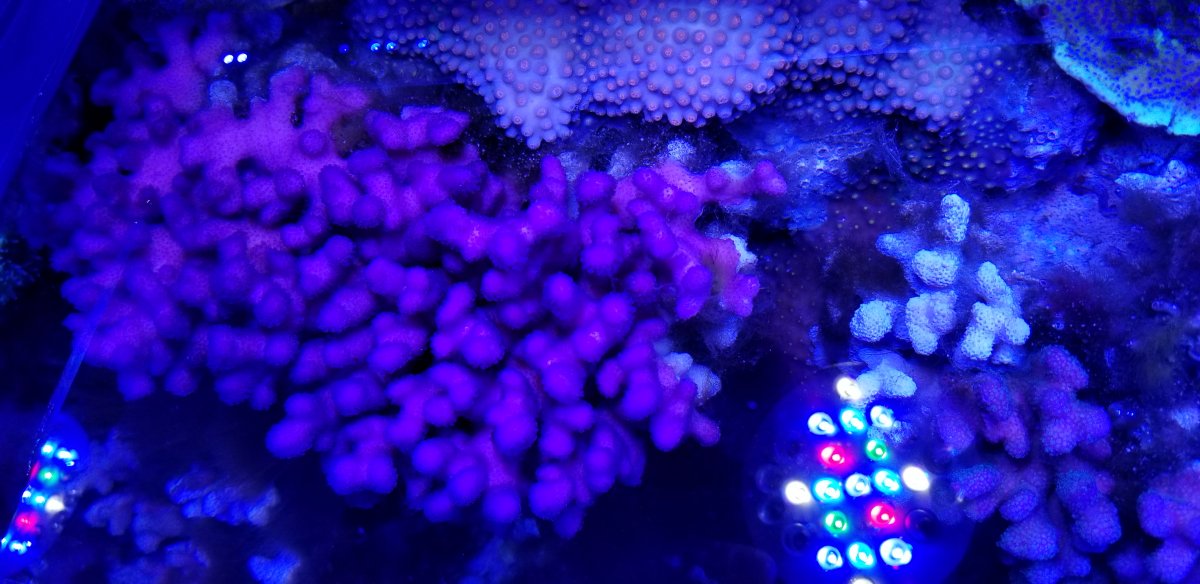 20191230_205142.jpg