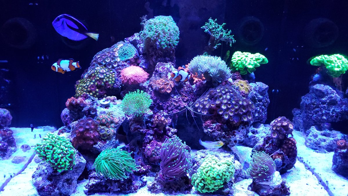 20200116_184826.jpg