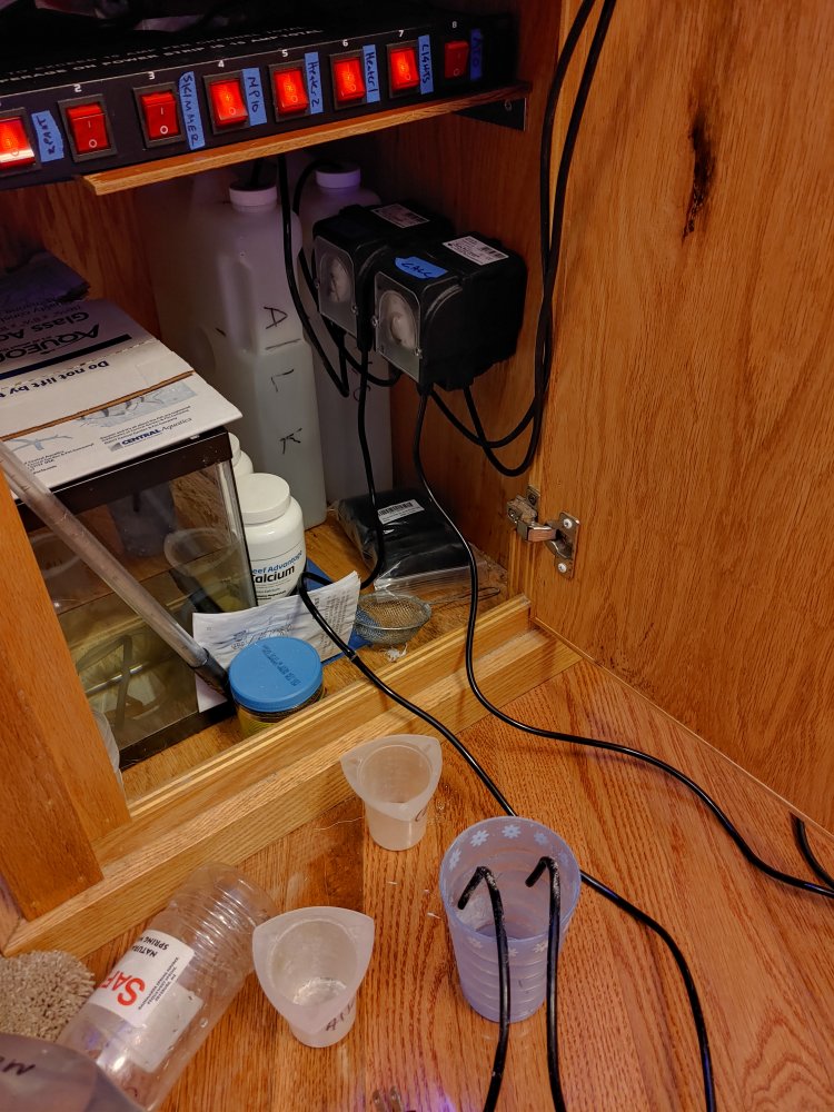 20200316_191358_HDR.jpg