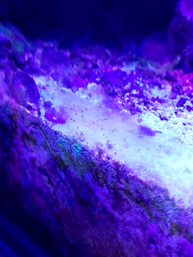 20200416_201123.jpg