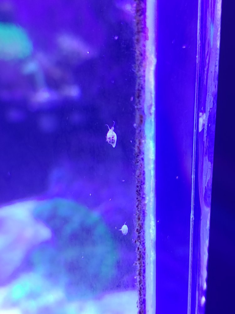 20200416_201306_HDR.jpg