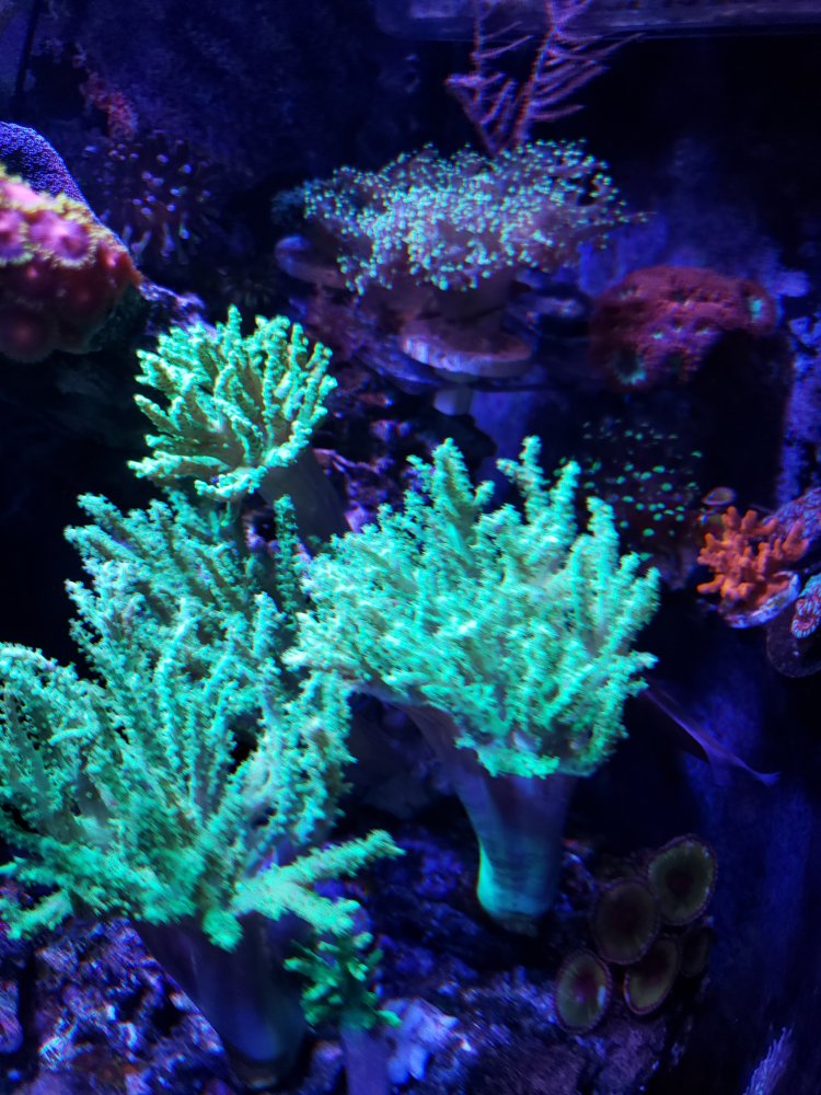 20200501_213805.jpg
