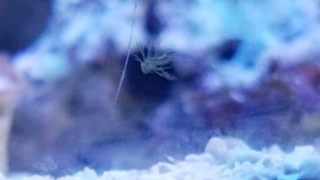 20200508_143242.jpg