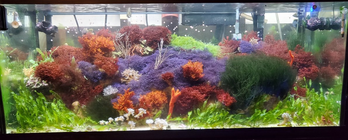 20200728_104458.jpg