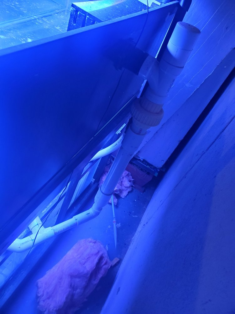 20200913_142643.jpg