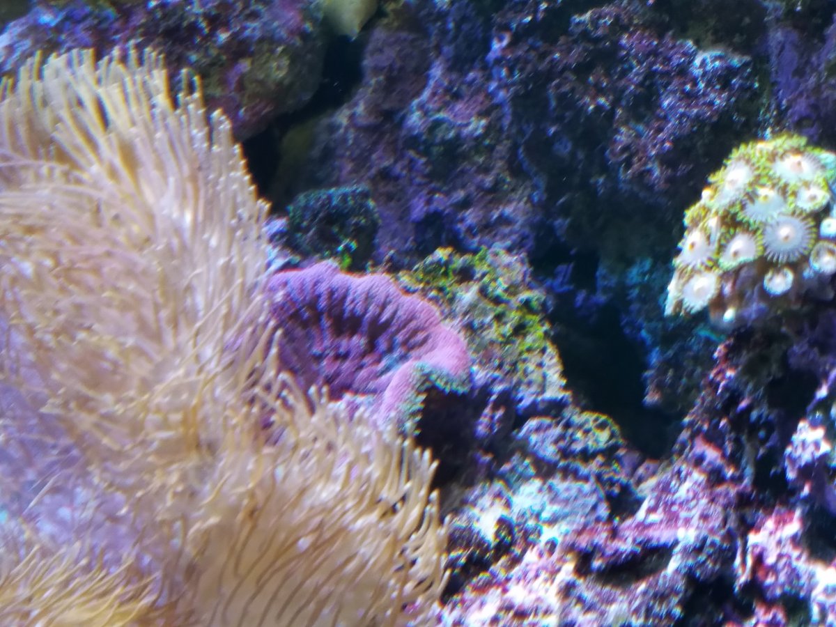 20200915_152928.jpg