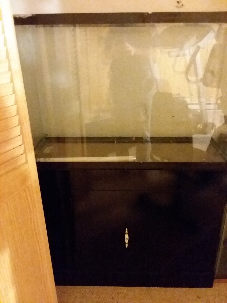 20200915_163031.jpg