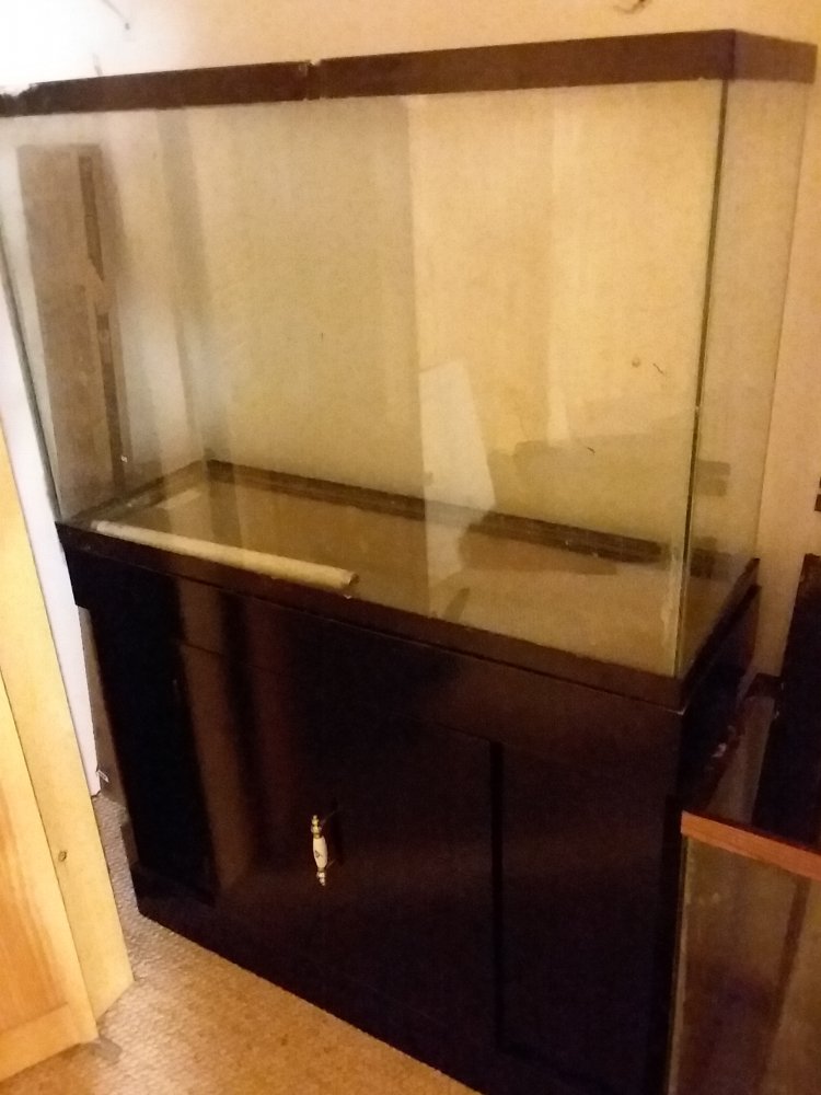 20200915_163055.jpg