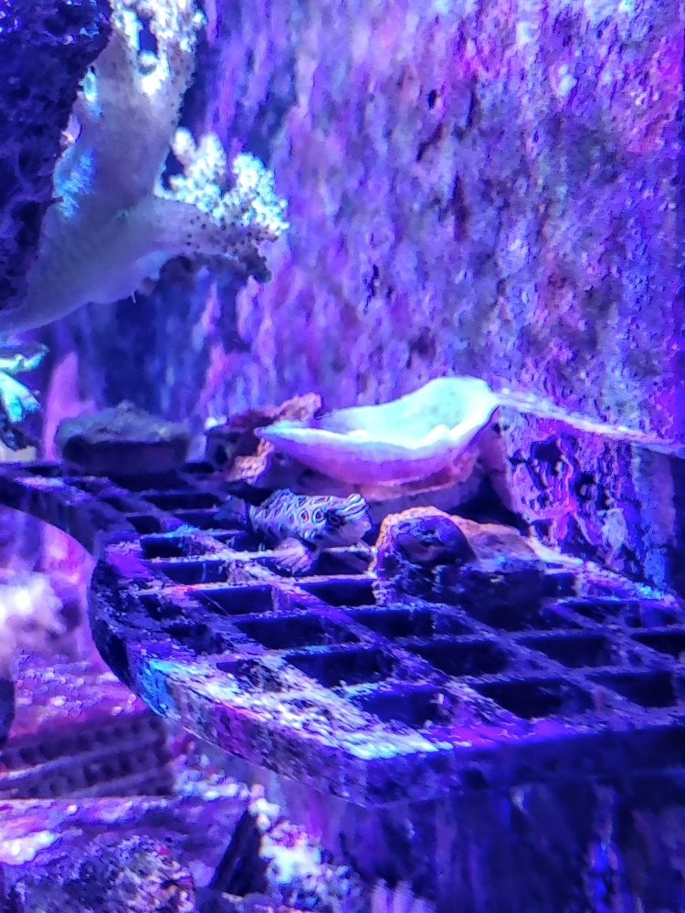 20200920_141036.jpg