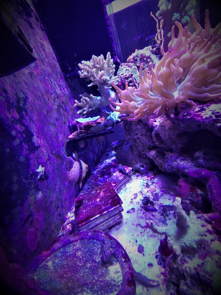20200920_141602_HDR.jpg