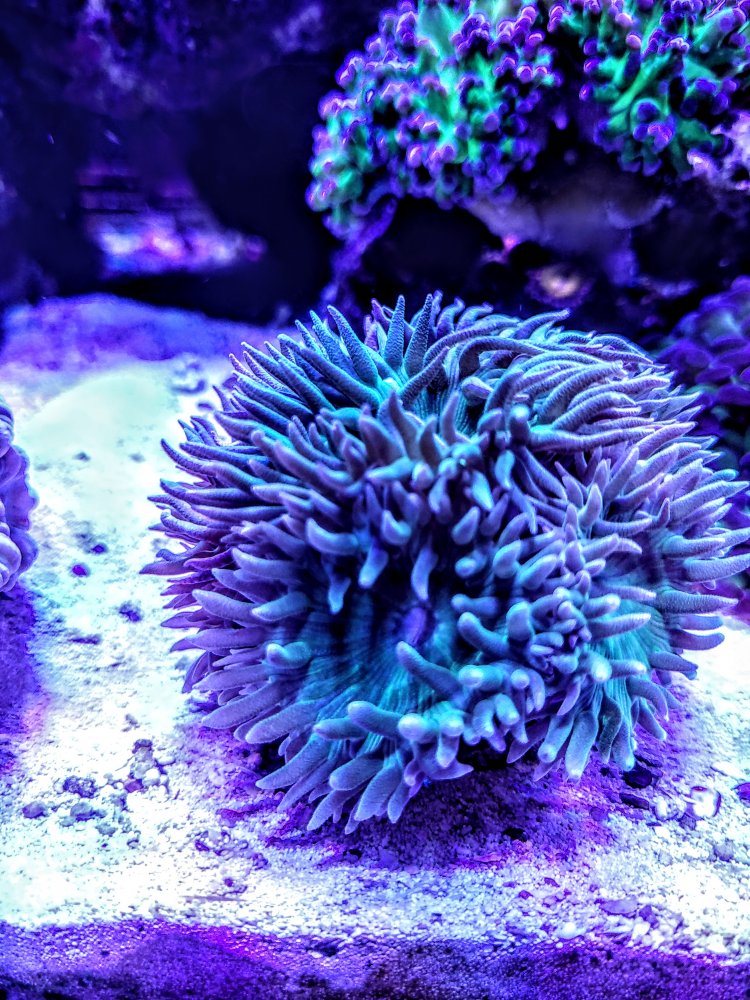 20200920_141631.jpg
