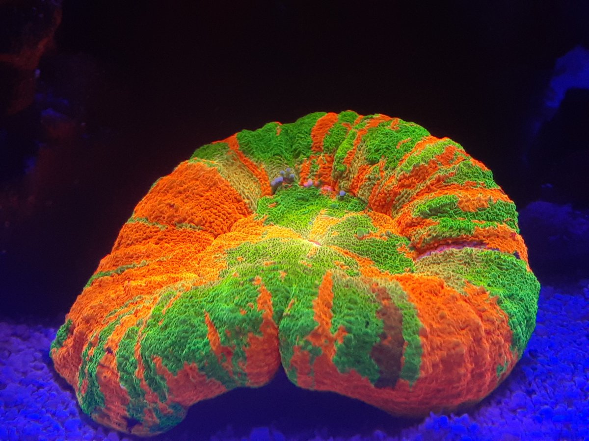 20201008_211057.jpg