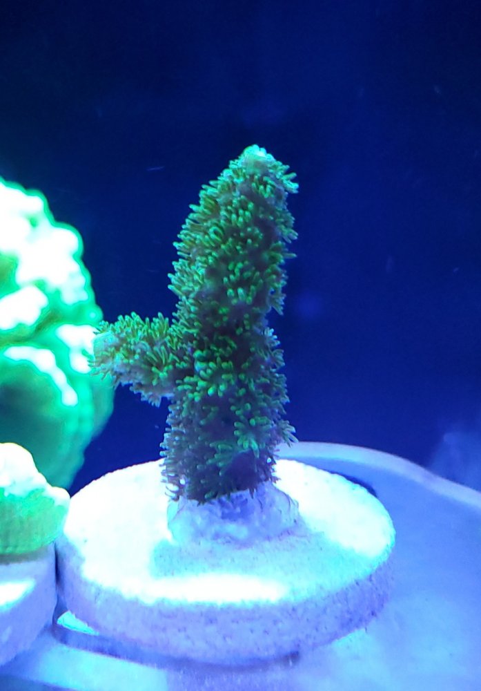20201017_213116.jpg