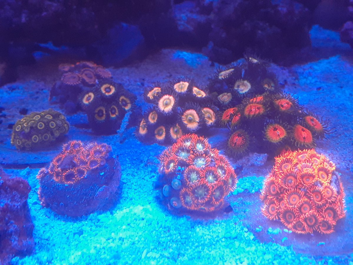 20201027_195153.jpg