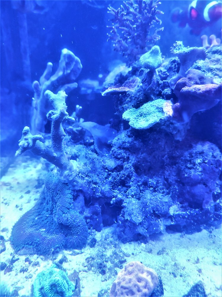 20201031_190115.jpg
