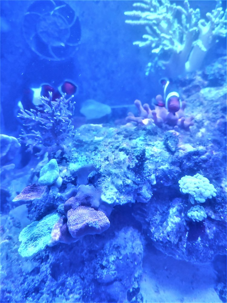 20201031_190117.jpg