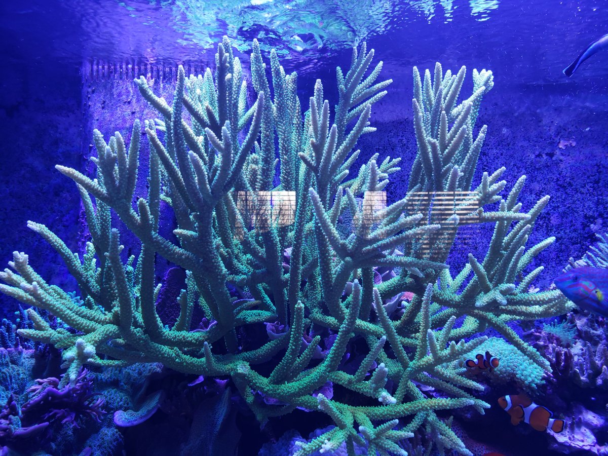 20201120_102739.jpg
