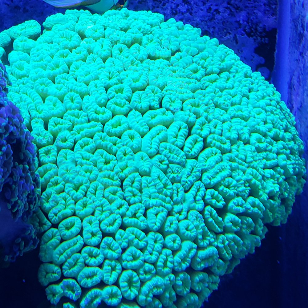 20201123_083931.jpg