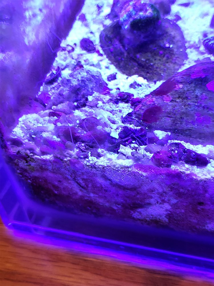 20201123_203427.jpg