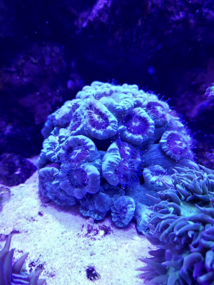 20201123_203527.jpg