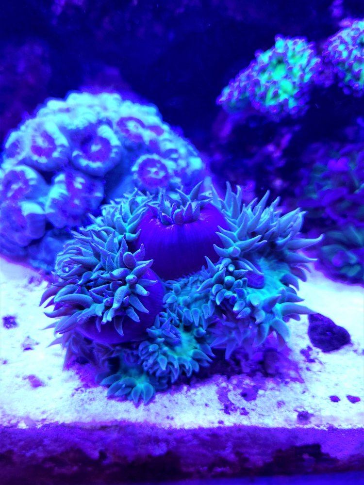 20201123_203533_HDR.jpg