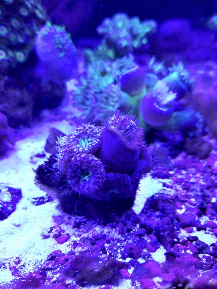 20201123_203537_HDR.jpg