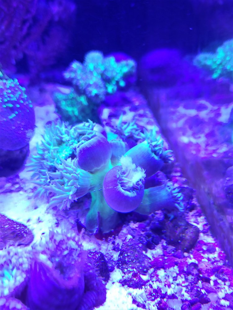 20201123_203539.jpg