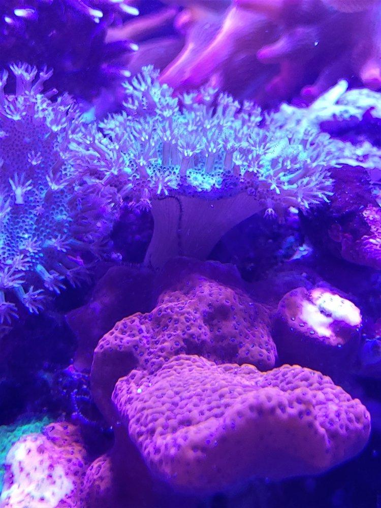 20201123_203559.jpg