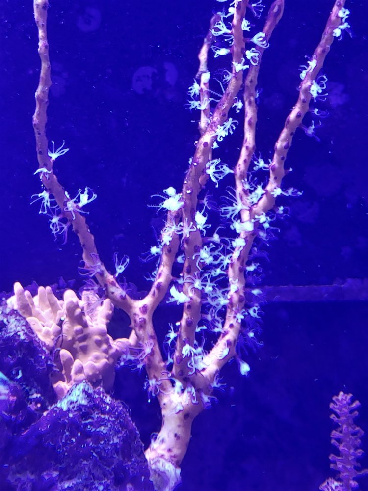 20201123_203618_HDR.jpg