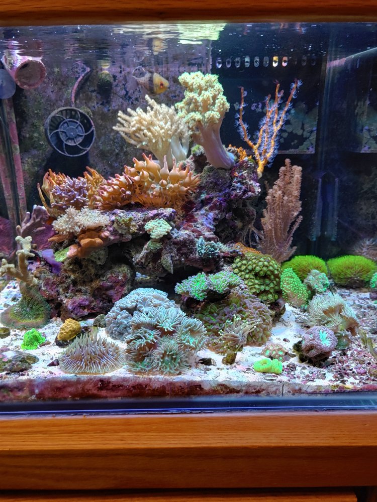 20201129_160536_HDR.jpg