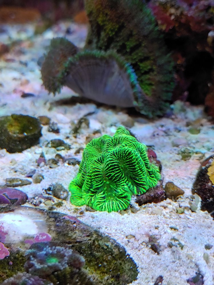 20201129_161348.jpg