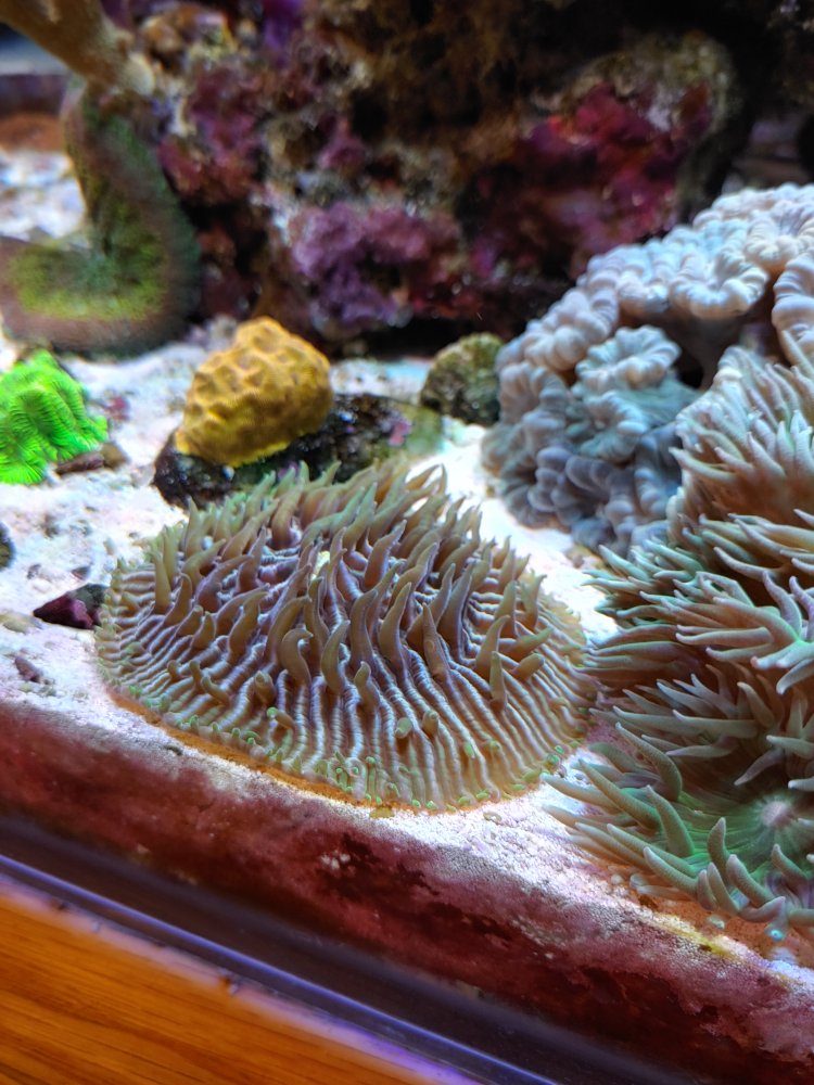 20201129_161429_HDR.jpg