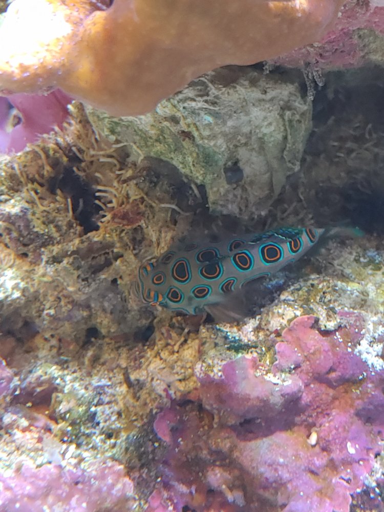 20201129_161457.jpg