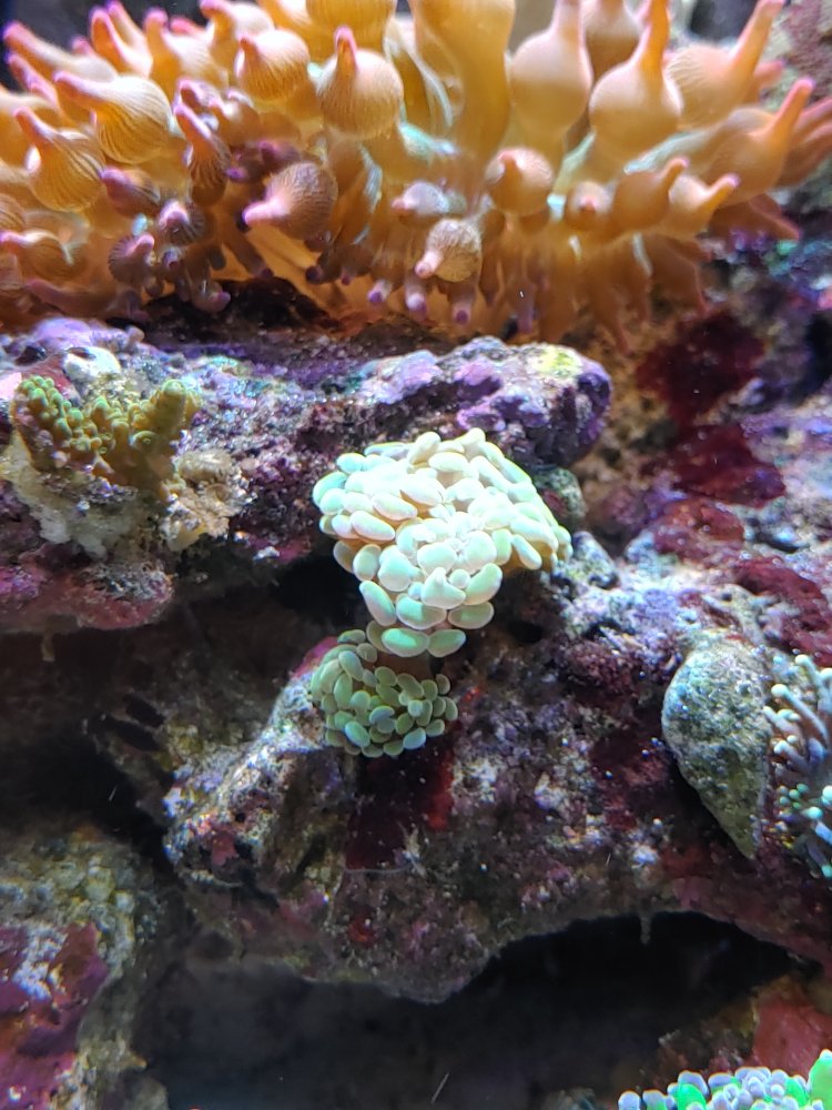 20201129_161605_HDR.jpg
