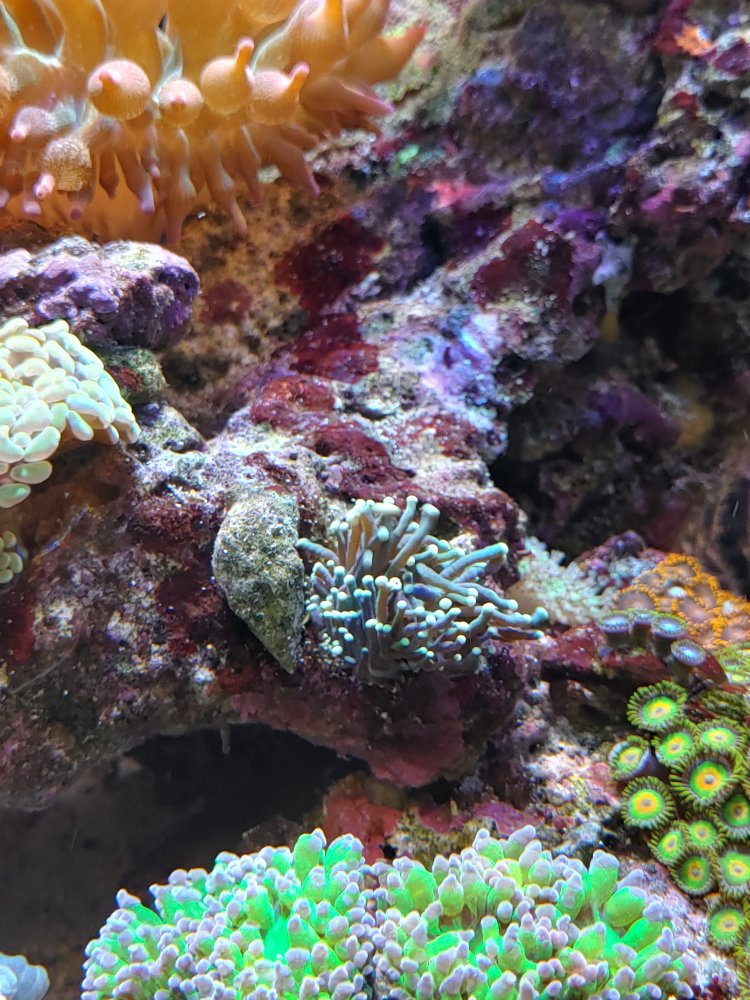 20201129_161607_HDR.jpg