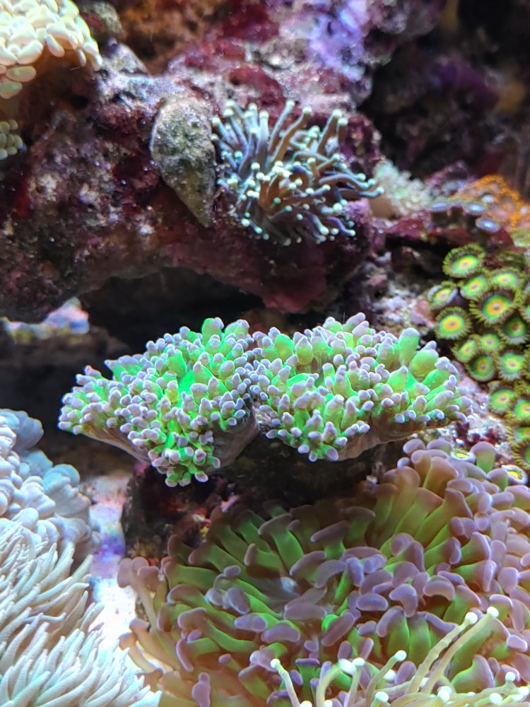 20201129_161609_HDR.jpg