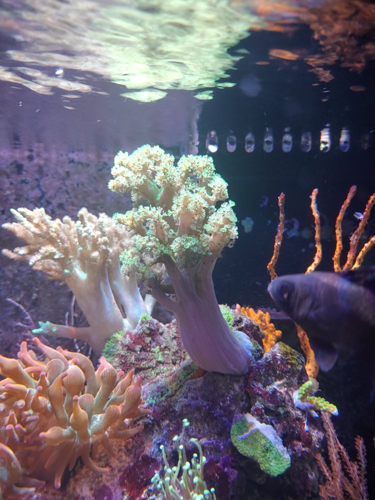 20201205_191345_HDR.jpg