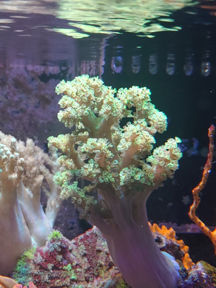 20201205_191349_HDR.jpg