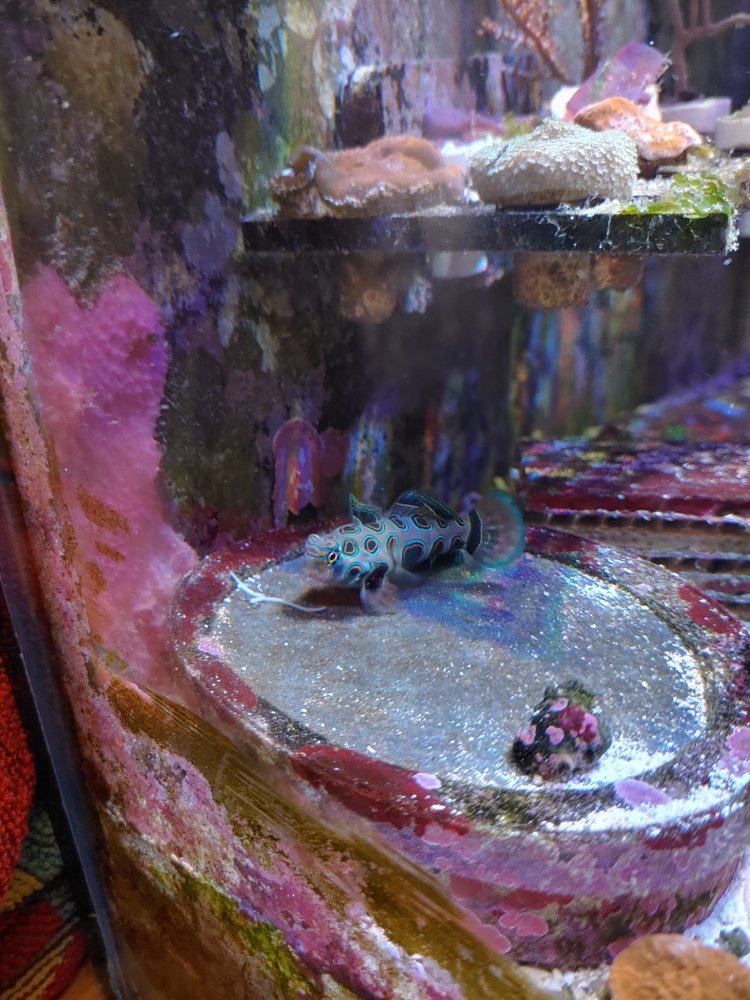 20201207_184436_HDR.jpg