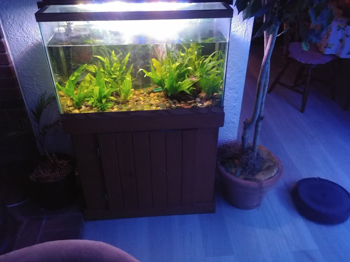 20201210_193840.jpg