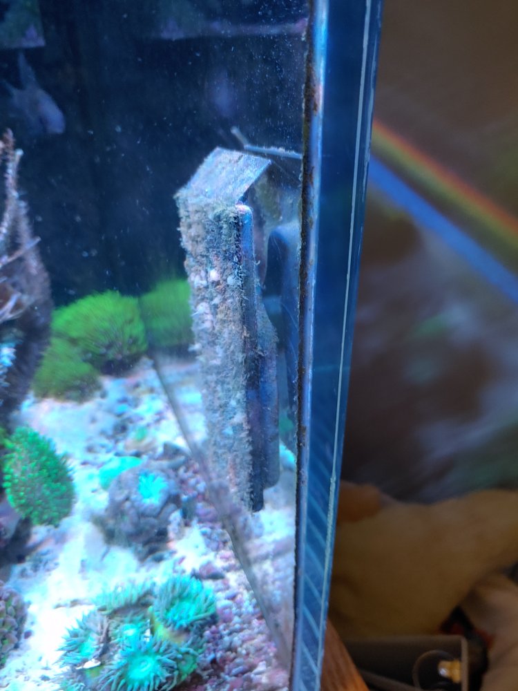 20201216_210320_HDR.jpg