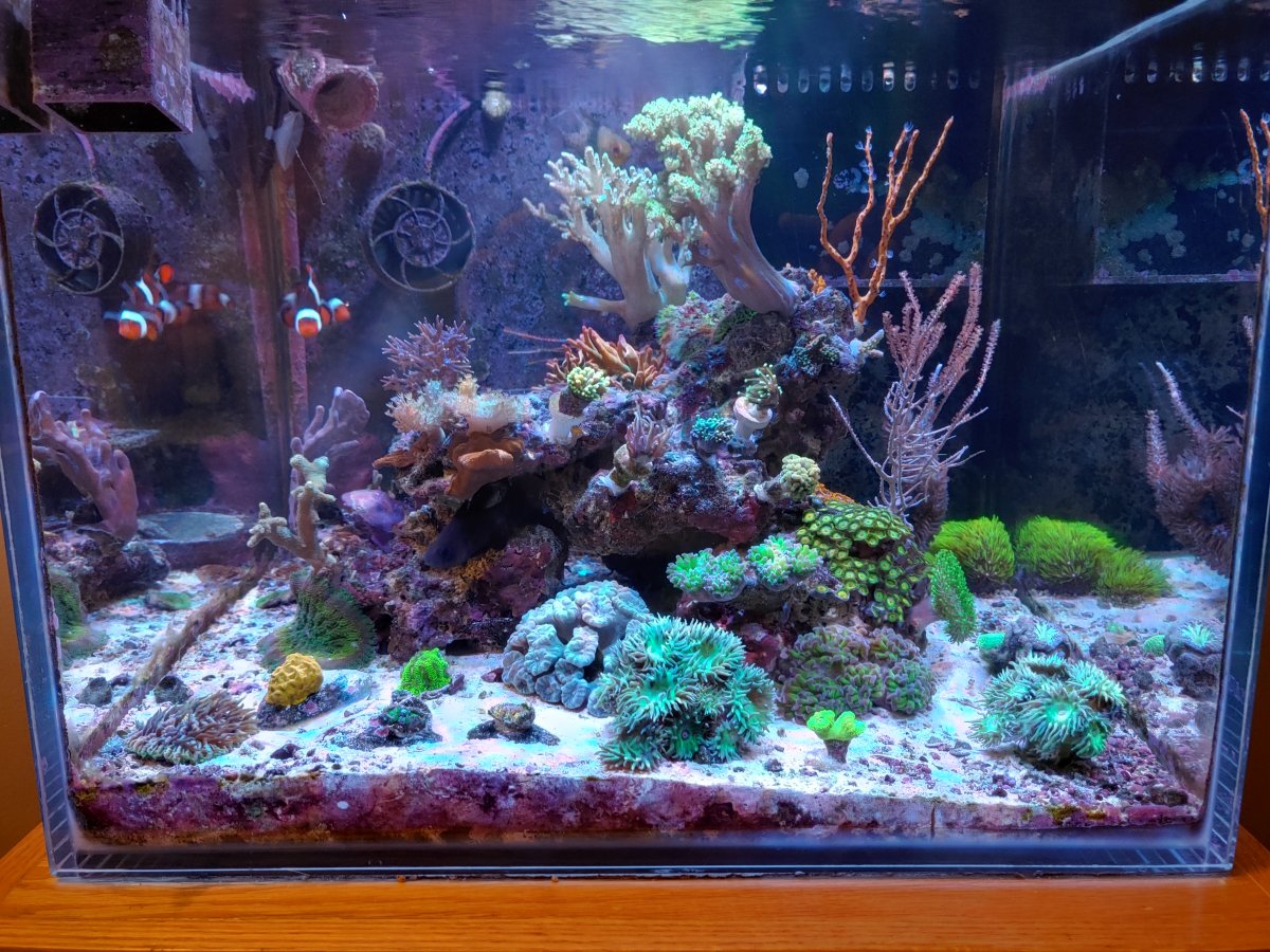 20201216_212013_HDR.jpg