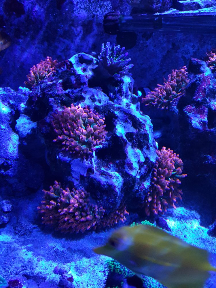 20201223_080722.jpg