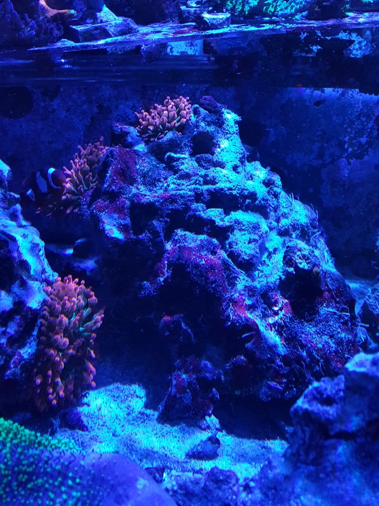 20201223_080726.jpg