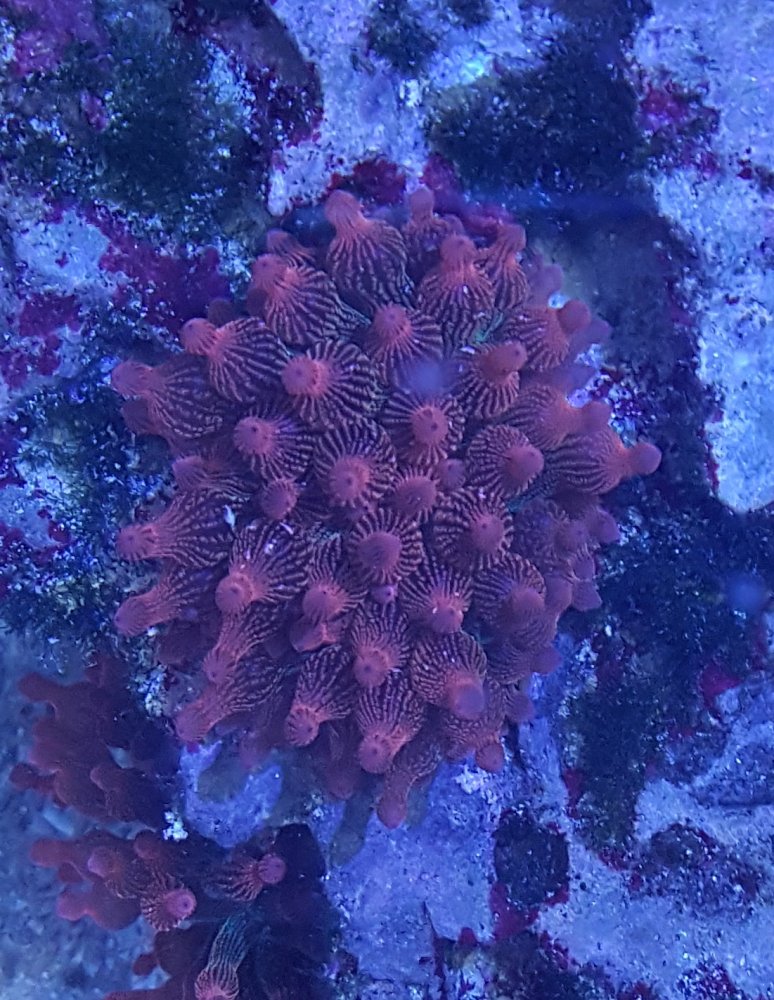 20201223_144123.jpg