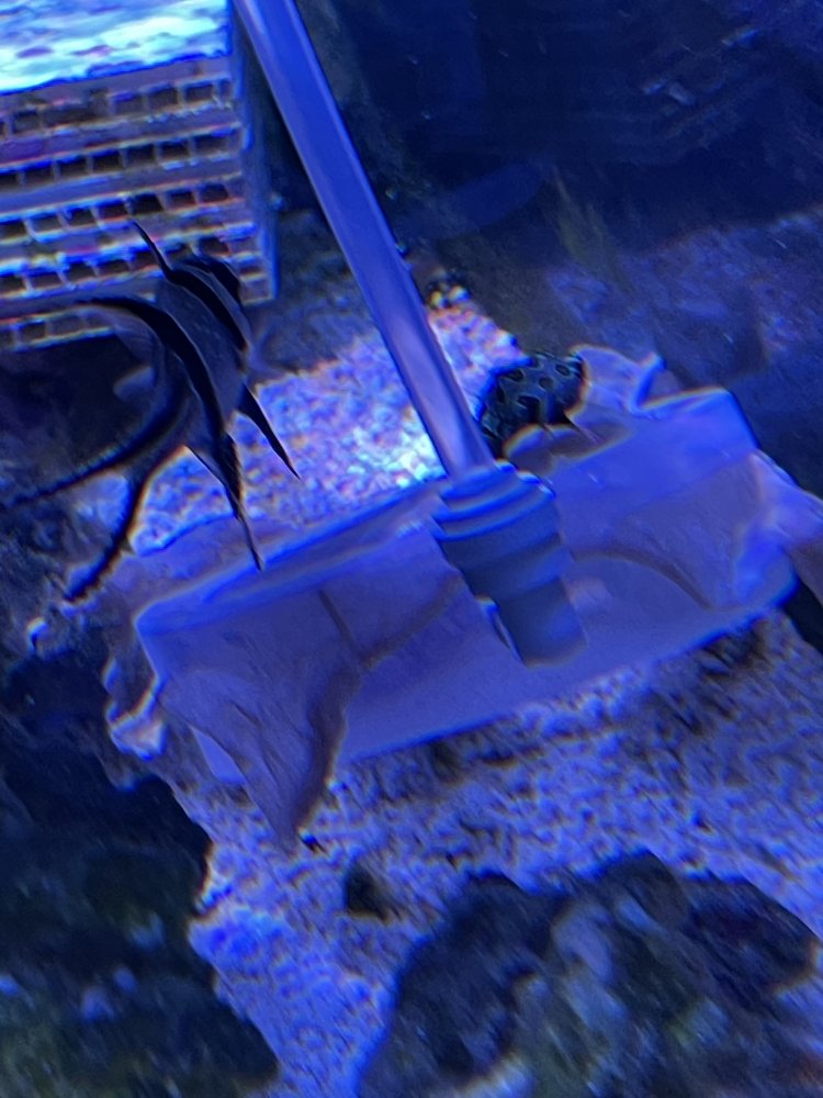 2021-03-11 001.JPG
