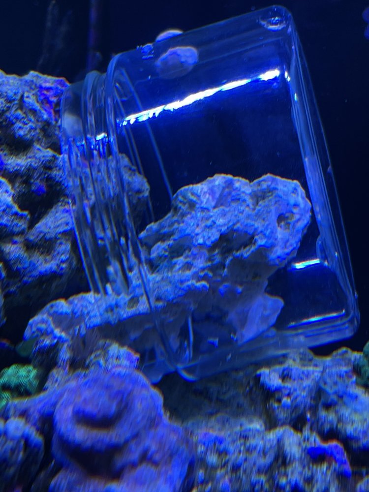2021-03-19 009.JPG