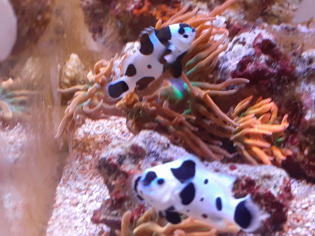 20210111_114519.jpg