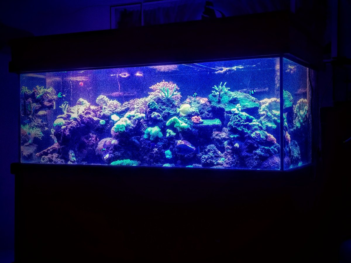 20210113_195822_HDR~2.jpg